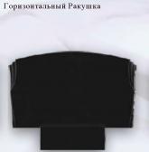 Горизонт ракушка